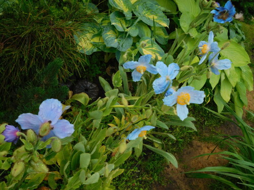 DSCN04722c7aec46074c5cb5.jpg