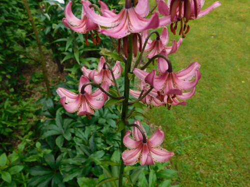 DSCN0843