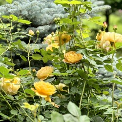IMG_9841c1f4c94fe2cad6f4