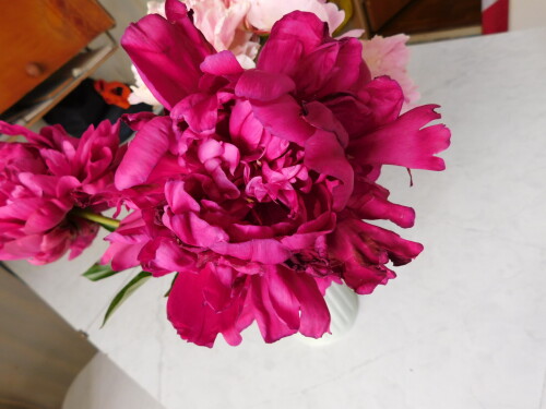 DSCN1042