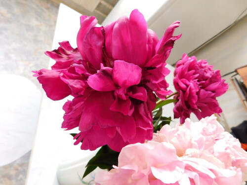 DSCN1043