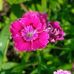 3-26-jul4a6a09a56f8aac1e