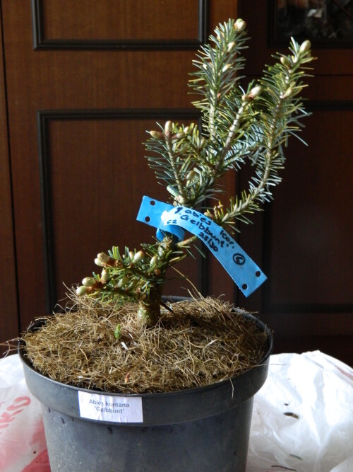 DSCN1376