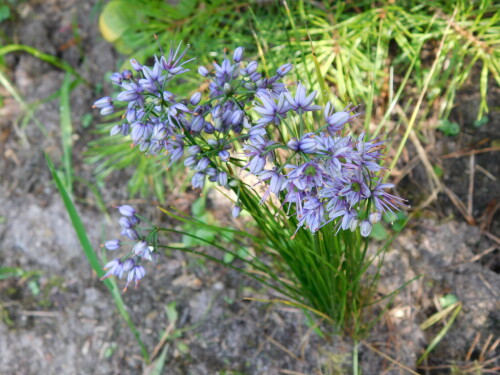 DSCN1365