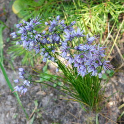 DSCN13651e750878671699d4