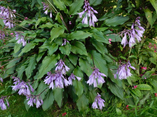 DSCN1698d3771d2b5c702643.jpg