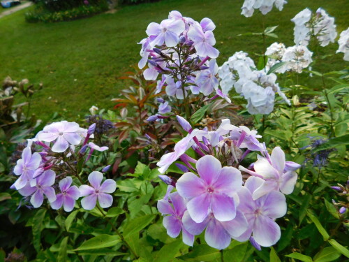 DSCN14602a92c15c68fad8da.jpg