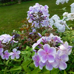 DSCN14602a92c15c68fad8da