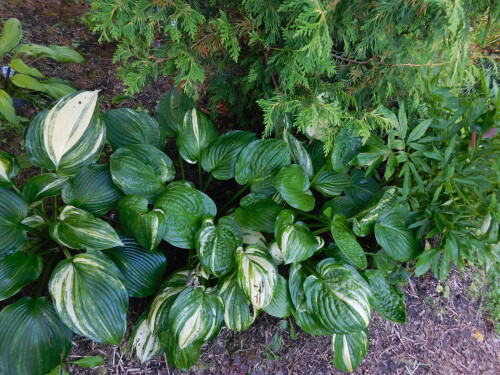 DSCN19375ba6870931828177.jpg