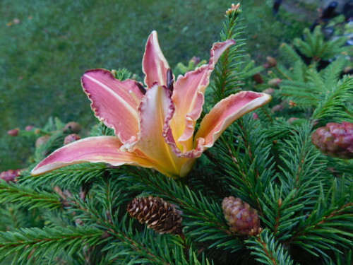 DSCN2002