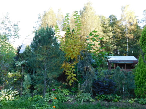 DSCN2173bbe98799ded3f57b.jpg