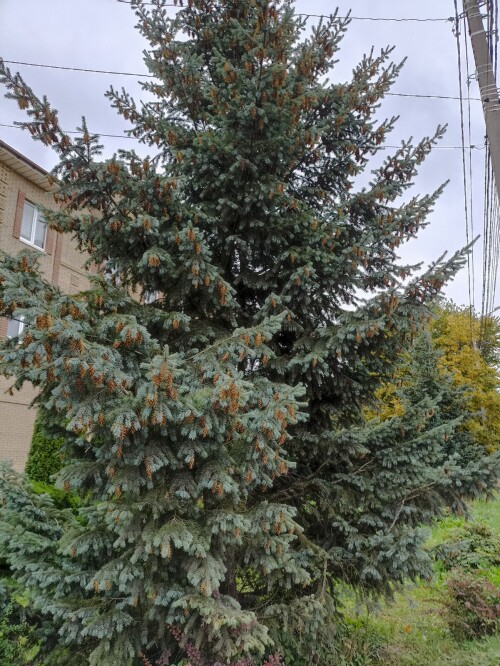 IMG 20250904 081411