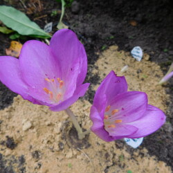 DSCN2283d1c2ae96536efdec