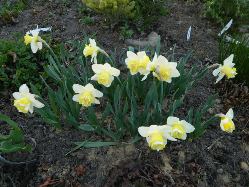 DSCN47318984c5e00a1cb017.jpg
