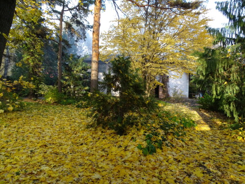 DSC00143