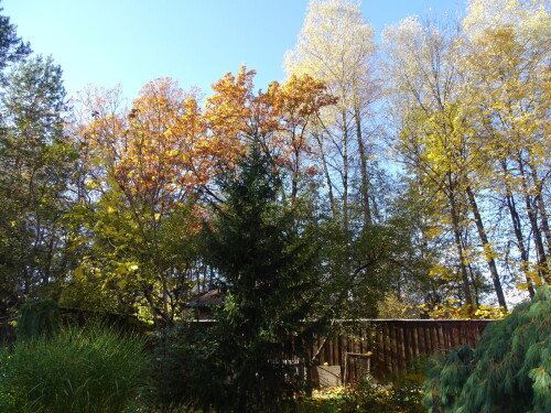 DSC0016364fc9839e9d07593.jpg