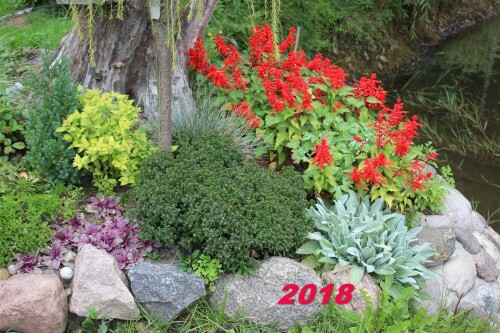 20180692b72fc9910592.jpg