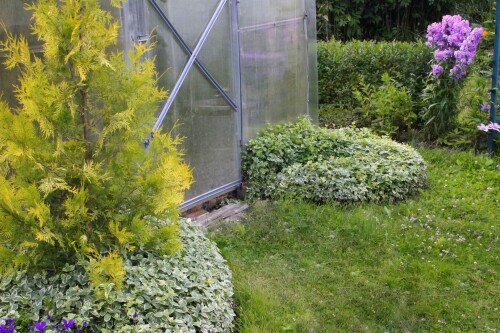 теплица в 2019 м