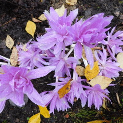 DSCN2701f4b47b9c5c80a050