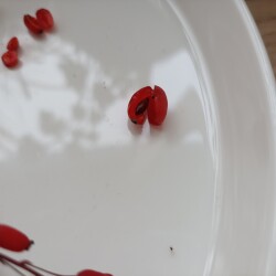 IMG_20251026_14265505a456e8e8f8503b