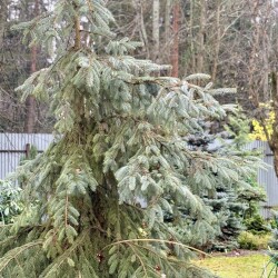 IMG_094668cbfde186e480b4