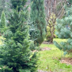 IMG_09472c8b1cf30efaacef