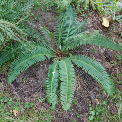 DSCN13546134a86aa8f92e9e