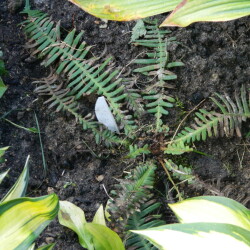 DSCN213730979c28f33be8c3