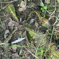 DSCN95243b9af9f2228bb36b