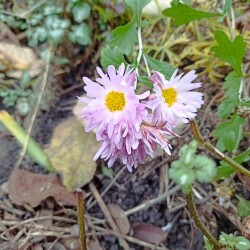 IMG_20251110_145736d854bd922a1793eb