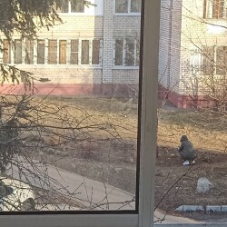 IMG_20250321_160708e9e1b0caa32ef67b