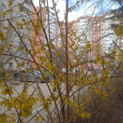 IMG_20250415_1541126311da38caecd25e