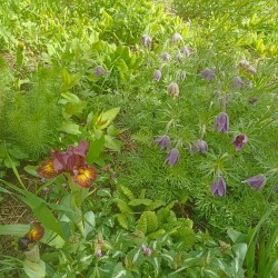 IMG_20250512_094231c8fbe05f59882eb0