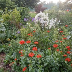 IMG_20250620_195713c69387e49e160ad3