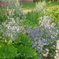 IMG_20250718_1858305f2de7de05b34457