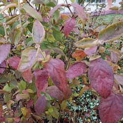 IMG_20251021_12074004eeb8c909942181