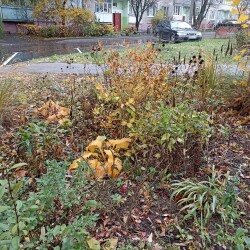 IMG_20251029_141805ec5eff5f1635e45f