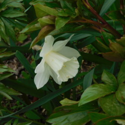 DSCN903513fbec6842df97d6