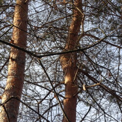 DSC00256dd78bb9853e65182