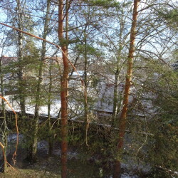 DSC00266cd8683eae8dfc9ee