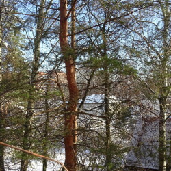 DSC002672edbec8f797ff213