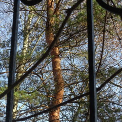 DSC002723ebc6e253eff3a93