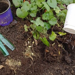 IMG_20251123_1517433f36be56838a6284