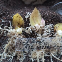 IMG_20251130_1550061b8c79b828a3ae93