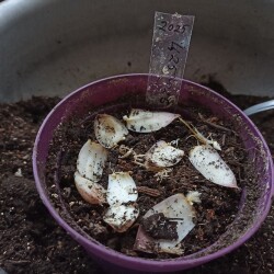 IMG_20251130_1602197a4cf0ce64a7644e