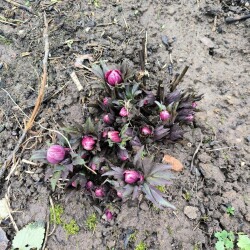 IMG_20251203_1244436e505cdd8caceff4