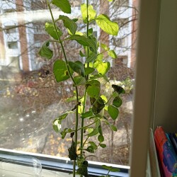 IMG_20251108_123959dd836c3b8815c43f