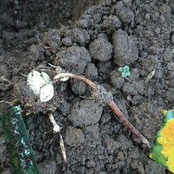 IMG_20240928_181520df6daaa42d3b31da