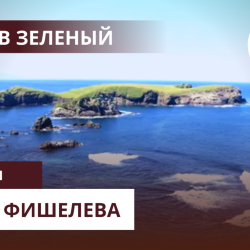 Igor_Fishelev_zelenyi_2ac4feb4b3cfda6f4