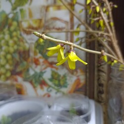 IMG_20251230_104807cf2b77bbdc6b2bb8